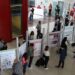 Concluye verano de Investigación para estudiantes