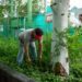 Aprovecha Nuevo León periodo vacacional para dar mantenimiento a planteles escolares