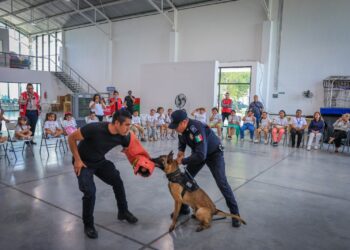 Interactúan niñas con policías caninos en Guadalupe