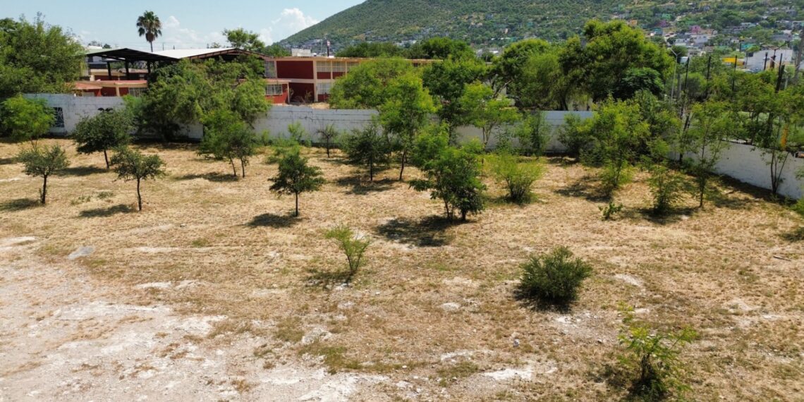 Apoya Adrián de la Garza en la limpieza de escuelas