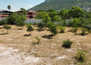Apoya Adrián de la Garza en la limpieza de escuelas