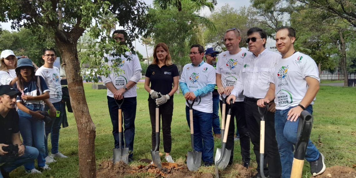 HEINEKEN México llega a un millón 700 mil árboles plantados en NL