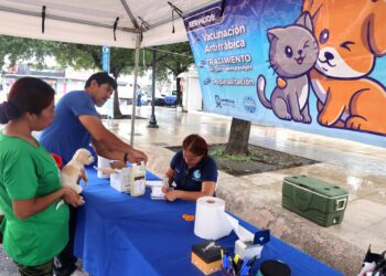 Brinda San Nicolás atención gratuita para “Michis” y “Lomitos”