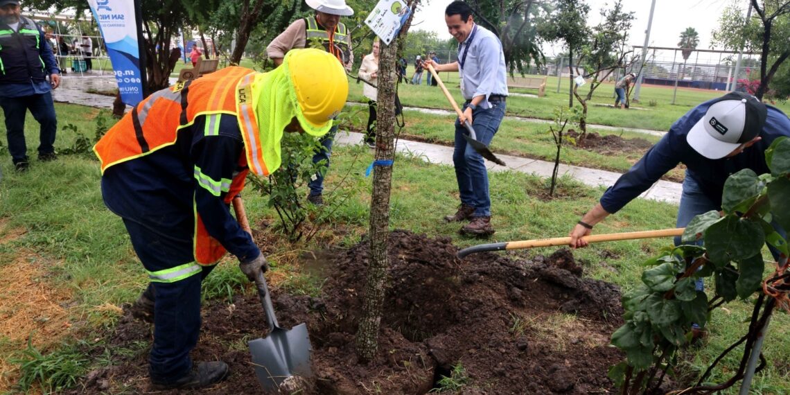 Sembrará San Nicolás más de mil 500 árboles