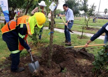 Sembrará San Nicolás más de mil 500 árboles