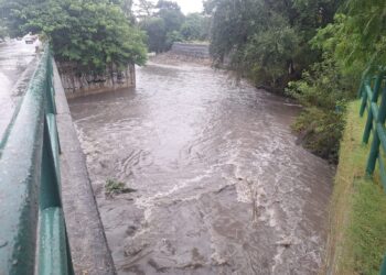 Surte efecto desazolve de arroyo Las Tinajas