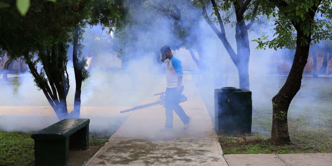 Le hacen frente al dengue en Guadalupe