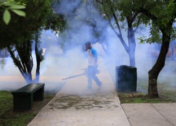 Le hacen frente al dengue en Guadalupe