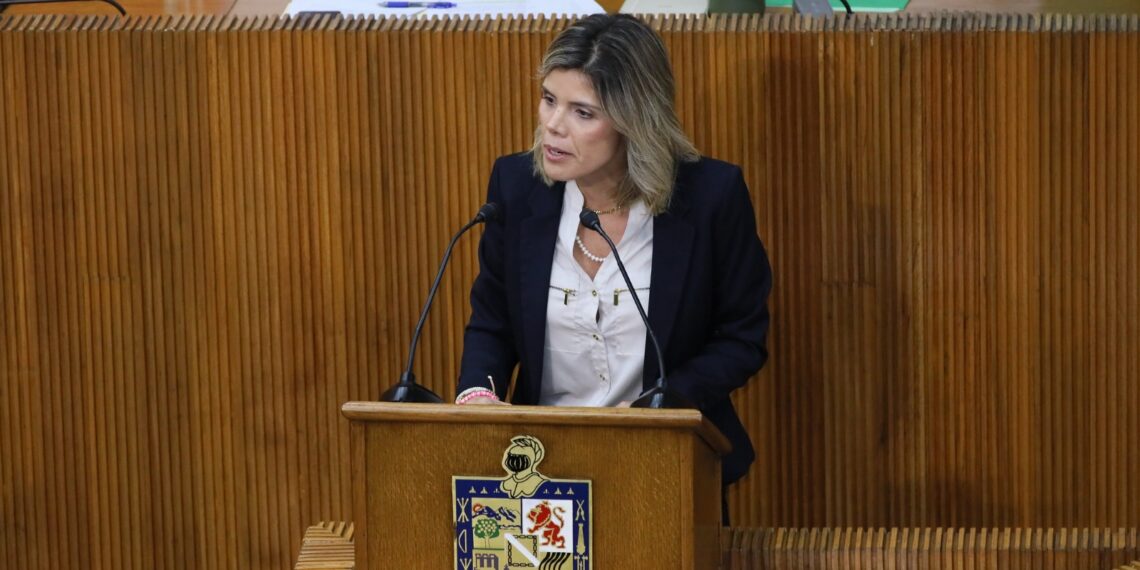 Analizarán seguridad del túnel de la Loma Larga en el Congreso