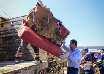 Emprende Adrián de la Garza lucha contra el dengue en Monterrey