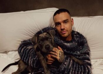 Pierde la vida ex integrante de One Direction