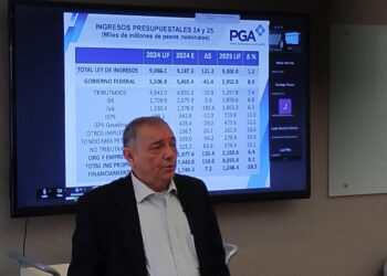 Preocupa “cocktail“ económico para el primer año del nuevo gobierno de México