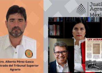 Apuntan a Maribel Concepción Méndez como operadora del “Cartel Agrario”