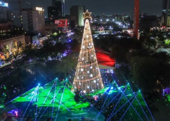 Inicia Regia Navidad con encendido de pino