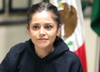 PAN exige renuncia de Martha Herrera tras cancelación de apoyos a asociaciones civiles