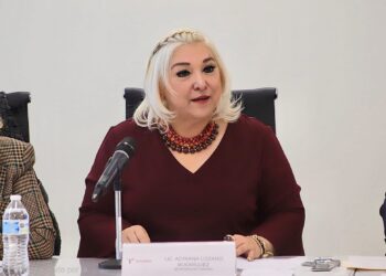 Inicia el canje de placas en Tamaulipas el 6 de enero