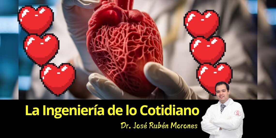 La ingeniería de nuestro corazón: ¿El verdadero motor del amor?