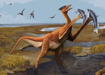 Presentan nueva especie de dinosaurio en Coahuila