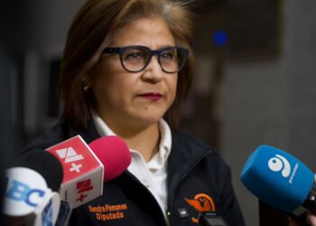 Sandra Pámanes propone reformas para abatir el rezago legislativo