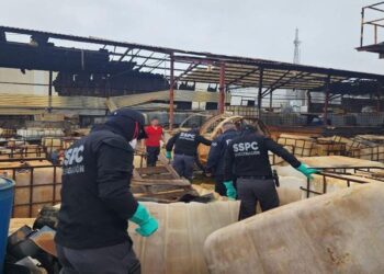 Desmantelan laboratorio de drogas en García