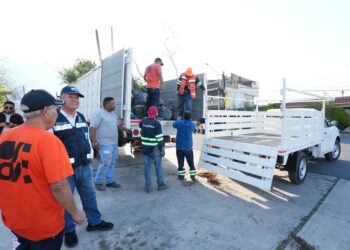 Invita Monterrey a participar en el programa “Adopta un árbol Mty“