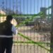 Acciones de la Secretaría de Medio Ambiente contra empresas contaminantes