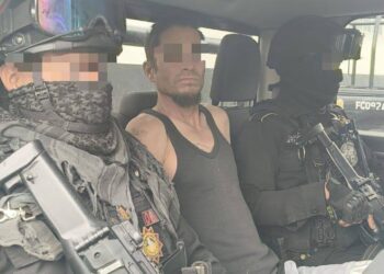 Reporta Gobierno detención del presunto maltratador del tlacuache