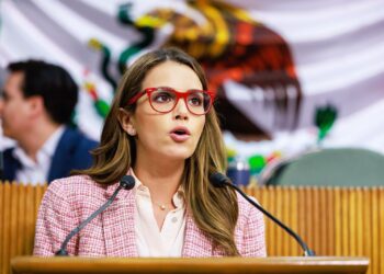 Lorena de la Garza pide actualizar normas contra la contaminación en NL y el país