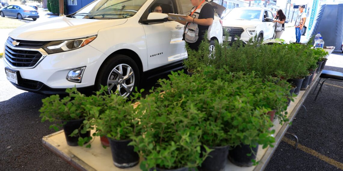 Fomenta Guadalupe cultura del reciclaje