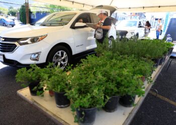Fomenta Guadalupe cultura del reciclaje