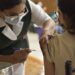 IMSS Nuevo León trabaja por niñez saludable