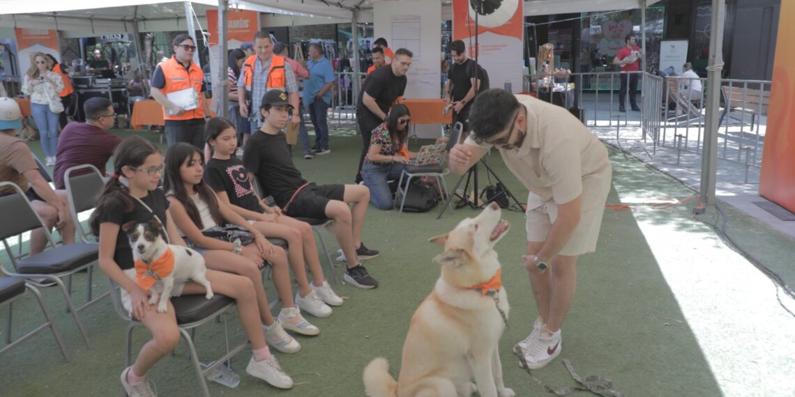 Participación Ciudadana organiza encuentro sobre el bienestar animal