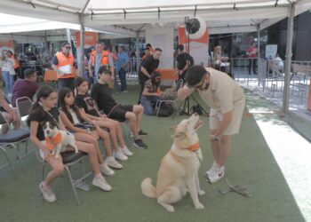 Participación Ciudadana organiza encuentro sobre el bienestar animal