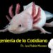 La Ingeniería que Imita a la Naturaleza: Desde Axolotes hasta Termiteros y la Flor de Loto
