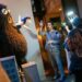 Llega a CONARTE “Museo 31“, un homenaje a la creatividad y la imaginación