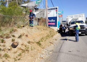 Monterrey recibe “manita de gato” en Semana Santa