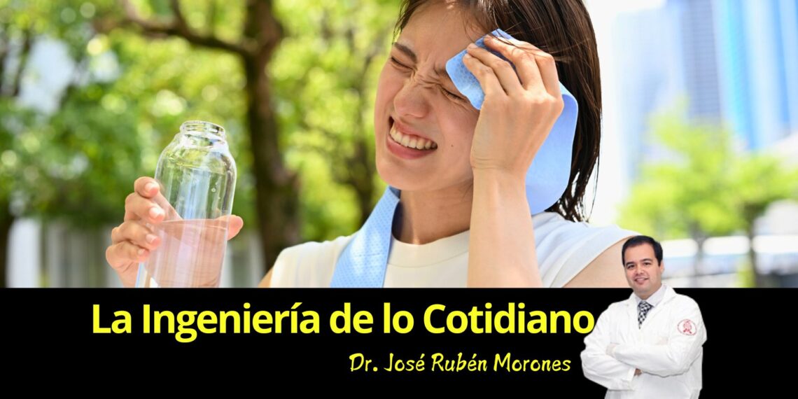 La termodinámica de tu cuerpo en plena ola de calor