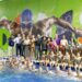 CEDEREG impulsa el deporte acuático con exhibiciones de alto nivel