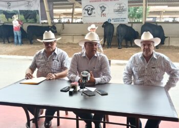 Unión Ganadera pide coordinación con autoridades para frenar al gusano barrenador