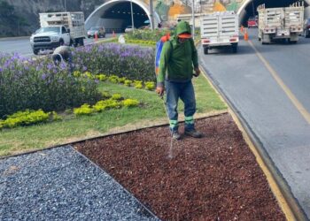 Monterrey refuerza acciones para mejorar la imagen urbana