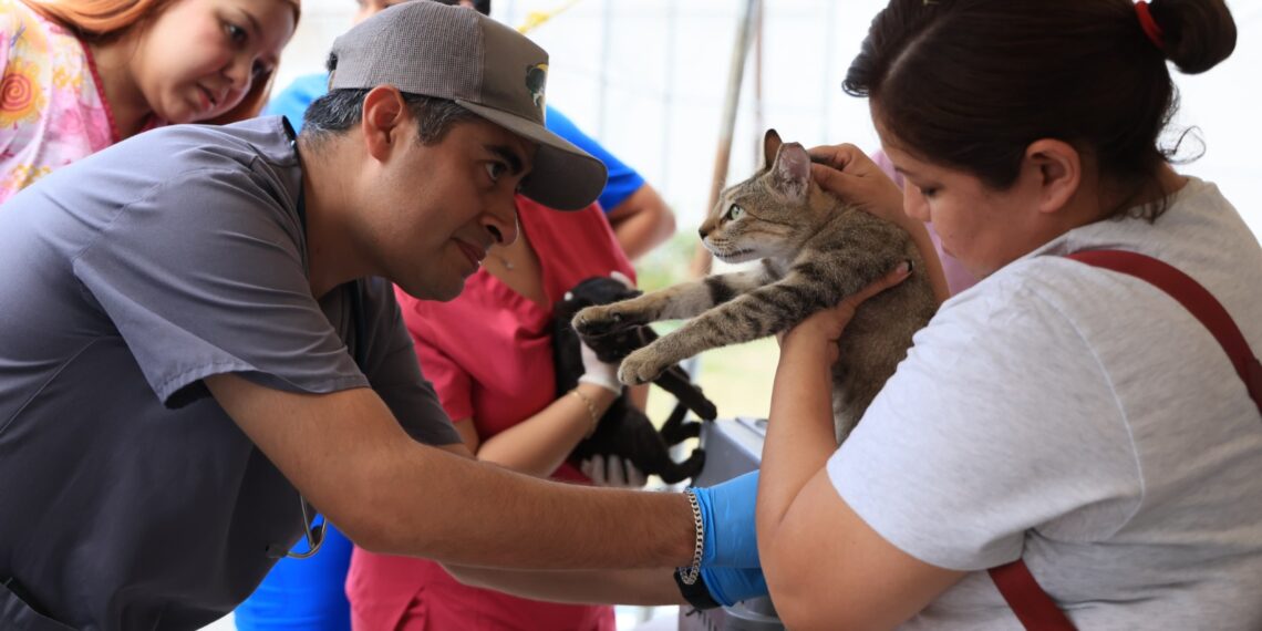Monterrey impulsa campaña de salud y bienestar animal con servicios gratuitos
