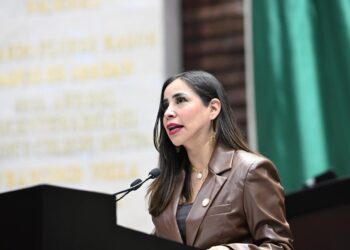 Lilia Olivares solicita actualización urgente de norma ambiental vigente desde 1993
