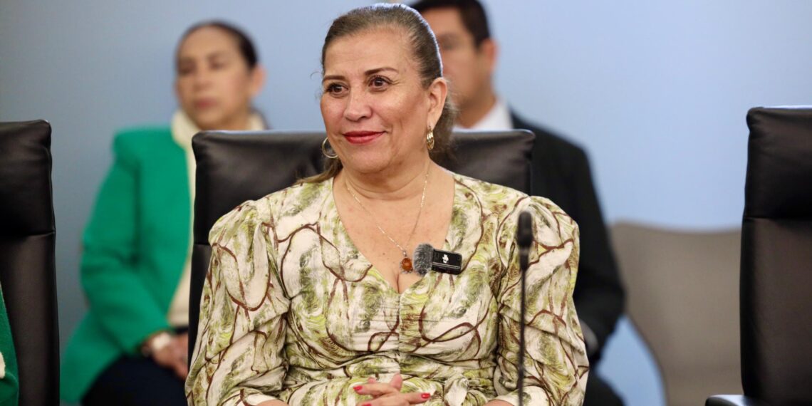 Judith Díaz cuestiona irregularidades en solicitud de licencia de Raúl Lozano