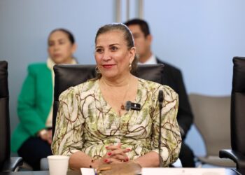 Judith Díaz cuestiona irregularidades en solicitud de licencia de Raúl Lozano