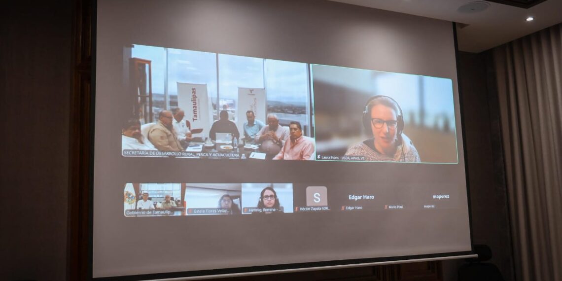 Tamaulipas refuerza campaña binacional contra la tuberculosis bovina