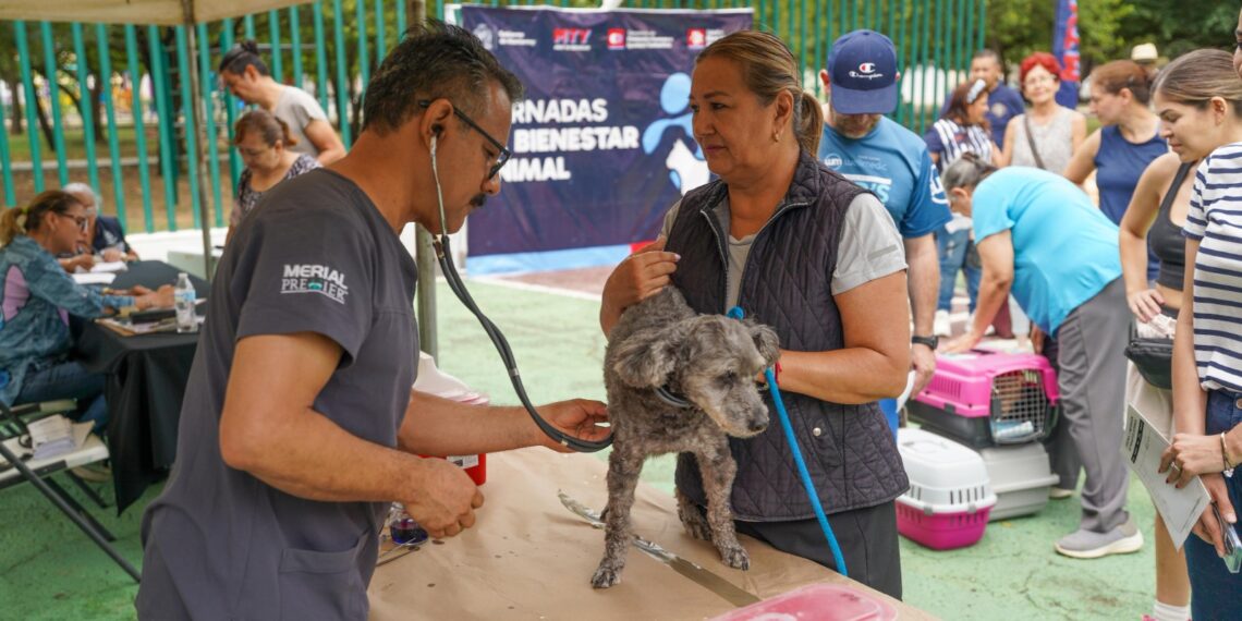 Monterrey fomenta el cuidado animal con feria en el Parque del Cortijo