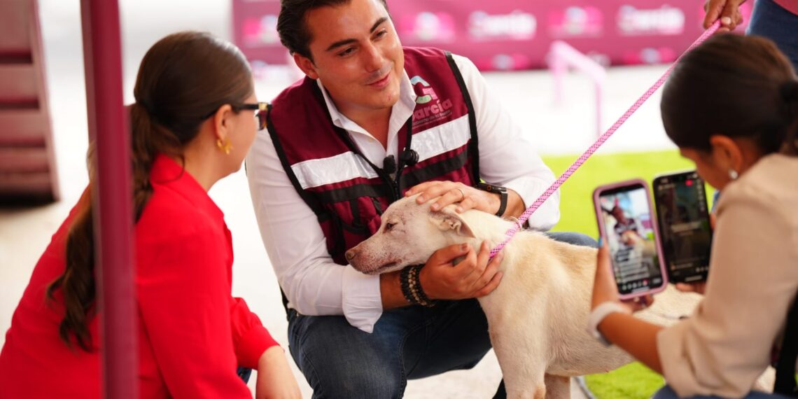 García lanza primer sistema de adopción digital de mascotas