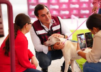 García lanza primer sistema de adopción digital de mascotas