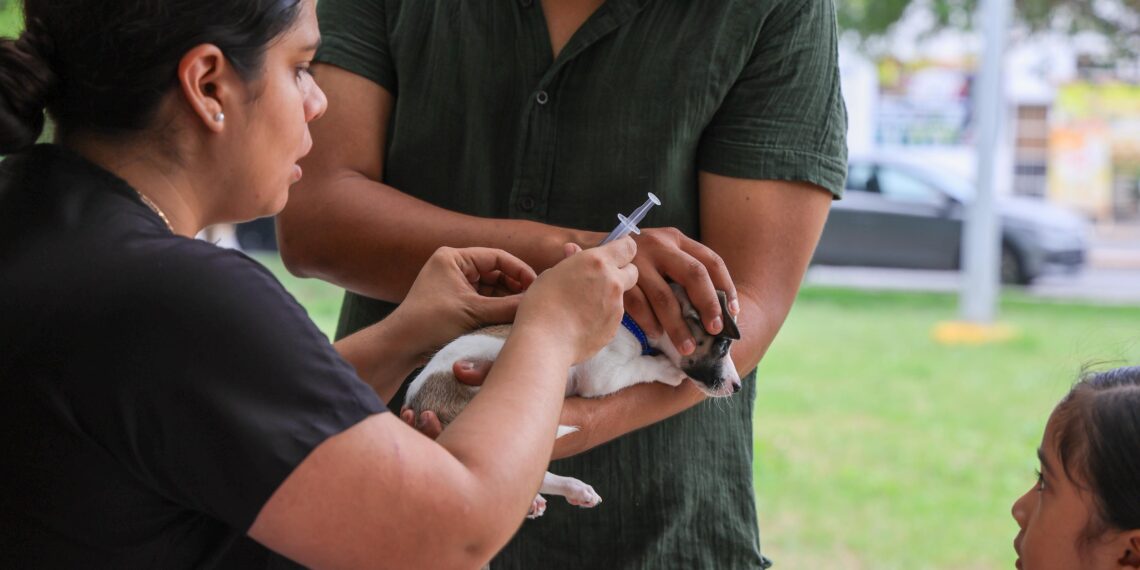 Feria de Bienestar Animal promueve el cuidado responsable en Monterrey