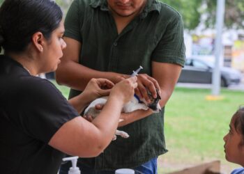 Feria de Bienestar Animal promueve el cuidado responsable en Monterrey